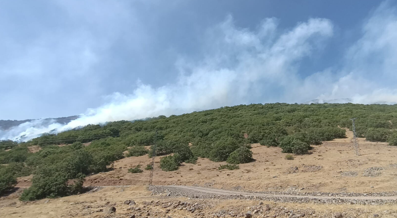 Bingöl'de orman yangını! Müdahale devam ediyor